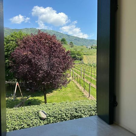 Casa Vacanze Ricca Vigna Valdobbiadene Exterior photo